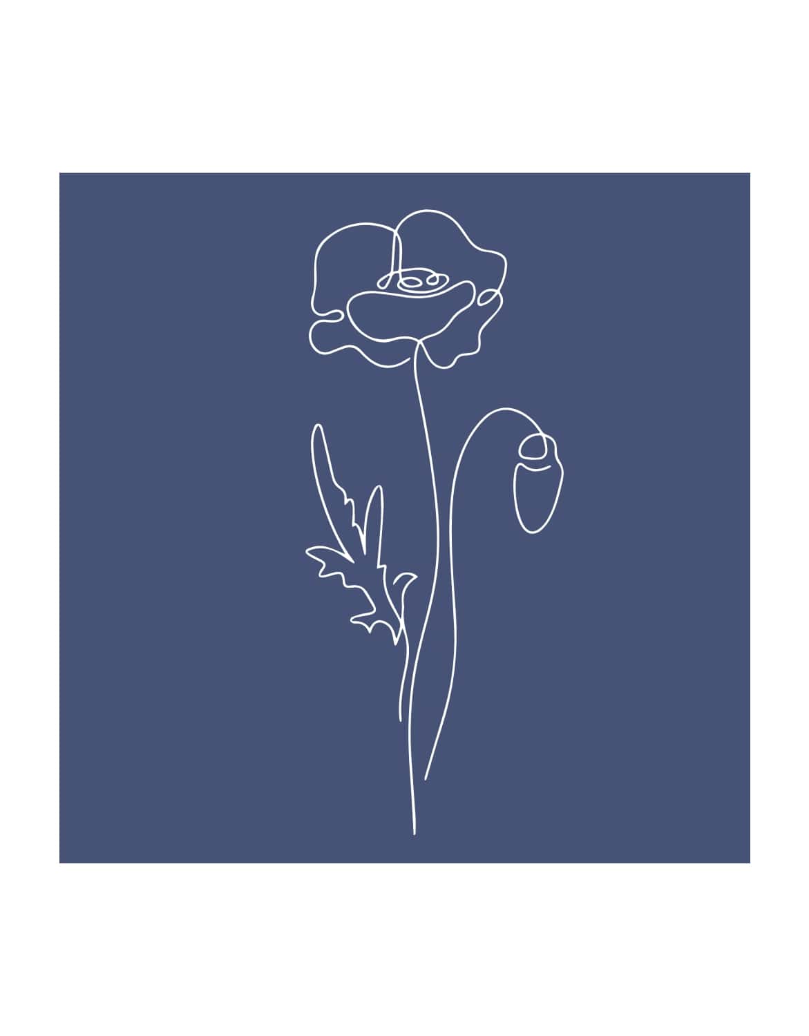 Damen T-Shirt "Mohnblume"
