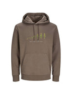 Motiv 'Maisolution"