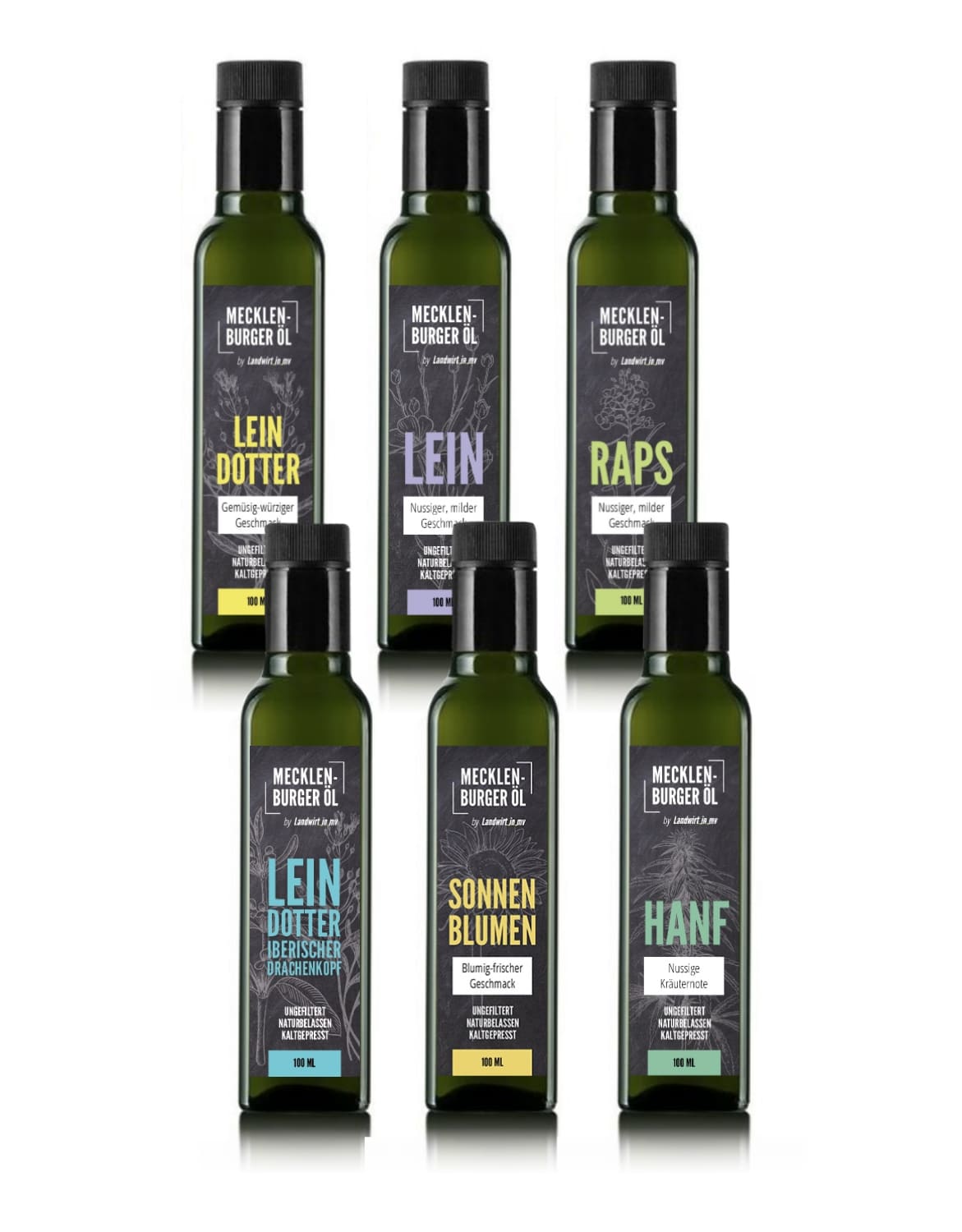 Magnetbox 6x 100ml – #1