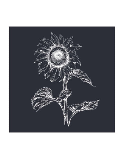 Motiv "Sonnenblume"