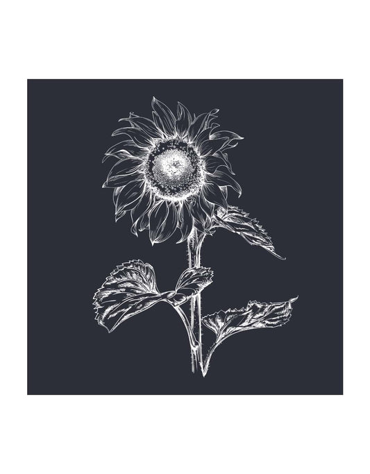 Motiv "Sonnenblume"