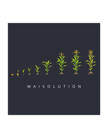 Motiv 'Maisolution"