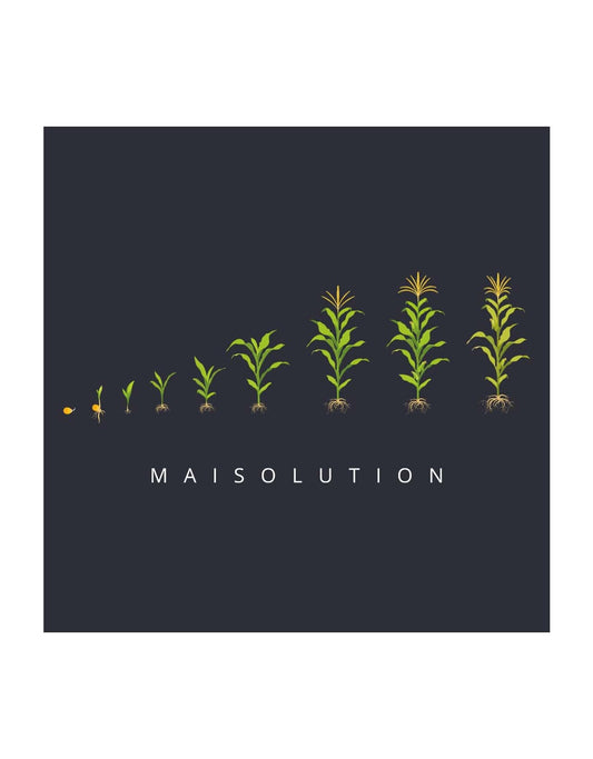 Motiv 'Maisolution"