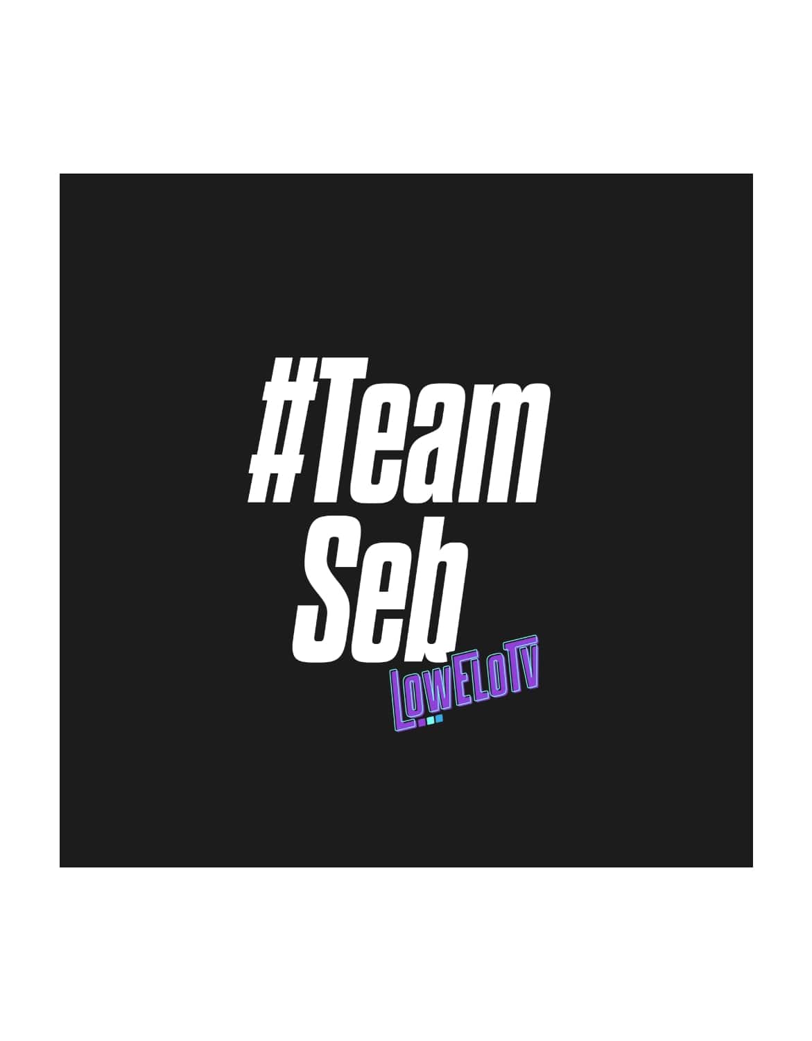 Hoodie "Team Seb"