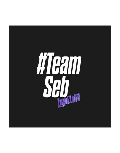 Hoodie "Team Seb"